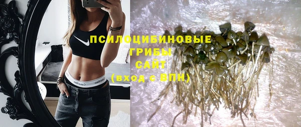 ПСИЛОЦИБИНОВЫЕ ГРИБЫ Аркадак