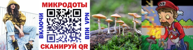 Псилоцибиновые грибы прущие грибы  Глазов 